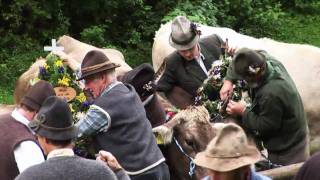 Pfronten Urlaub im Allgäu und der Viehscheid [upl. by Graham181]