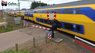 Spoorwegovergang  Zandstraat Roermond Limburg 😍4K😍 Dutch levelcrossing [upl. by Cibis]