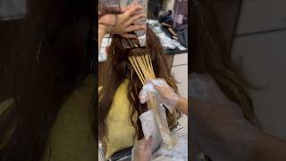 Beautiful Hair Highlights hair haircolor youtubeshorts shorts trending viralvideo [upl. by Raybourne]