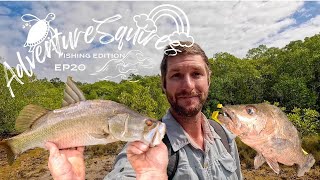 ADVENTURESQUIRES HINCHINBROOK MANGROVE FISHING ON FOOT BARRAMUNDI MANGROVE JACK ESTUARY COD [upl. by Karena]