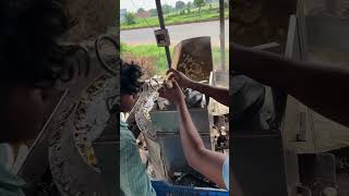 Live banana chips making in machine satisfactory sound viralshort short shorts [upl. by Ahseryt]