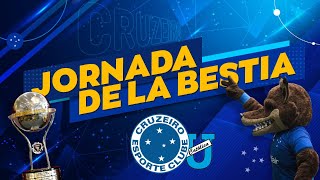 Jornadas SAF Canal do Zeiro 🔴COPA SULAMERICANA  CRUZEIRO X UNIVERSIDAD CATÓLICA EC [upl. by Ehcropal349]