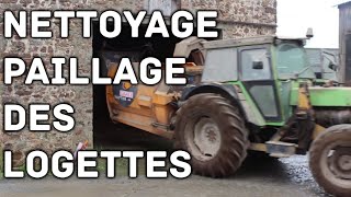 Nettoyage et paillage des logettes [upl. by Nerrot]