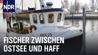 Zwischen Ostsee und Haff  Vom Überlebenskampf der letzten Fischer  Die Nordreportage  NDR [upl. by Ahsuat848]