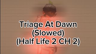 Triage At Dawn Slowed Half Life 2 CH 6 [upl. by Ynnohj868]