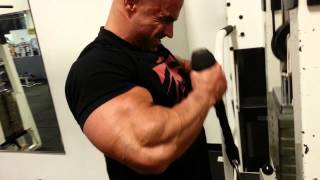 Cable Triceps Ext Superset wRope Hammer Curls [upl. by Iilek993]