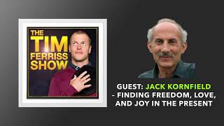 Jack Kornfield — Finding Freedom Love and Joy in the Present  The Tim Ferriss Show Podcast [upl. by Ilrak]