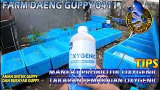 TAKARAN DAN MANFAAT PEMAKAIAN PROBIOTIK OXYGENIC UNTUK GUPPY  30 TANK IKAN FARM DAENG GUPPY 0411 [upl. by Llevart]