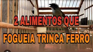 2 ALIMENTOS NATURAIS QUE ESQUENTA TRINCA FERRO [upl. by Enitnemelc645]