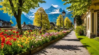 Interlaken  Top Travel Destination In Switzerland🇨🇭Swiss Town INTERLAKEN [upl. by Uzziel783]