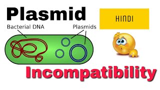 Plasmid incompatibility in hindi [upl. by Mundt600]