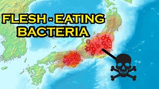 It Begins This DEADLY Disease is Quietly Spreading Across Japan [upl. by Darelle]