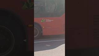 37753 47809 19853 and SEe124 at Walthamstow Bus Station [upl. by Higinbotham]