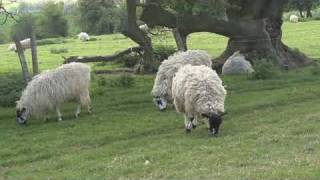 Burton Dassett Hills Country Park [upl. by Scibert]