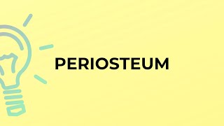 What is the meaning of the word PERIOSTEUM [upl. by Drehcir808]