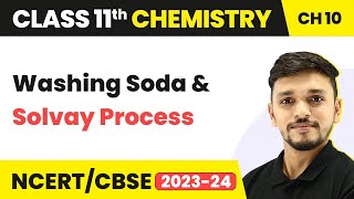 Class 11 Chemistry Chapter 10  Washing Soda and Solvay Process  s Block Elements [upl. by Llenil]