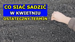 Siej W KWIETNIU te Warzywa to OSTATECZNY termin Co siać sadzić Kwiecień Kalendarz Ogrodnika Siewy [upl. by Gaidano]