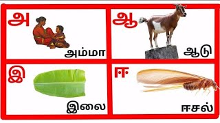 Uyir Ezhuthukal  Learn Tamil Alphabets  உயிர் எழுத்துக்கள் [upl. by Kelly822]