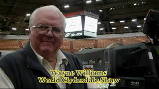 World Clydesdale Horse Show Highlights [upl. by Goss748]