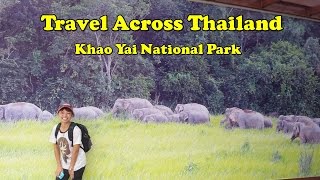 Driving through Thailand Khoa Yai National park [upl. by Walli]