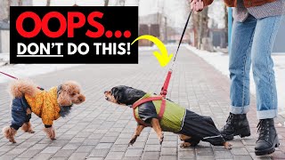 Leash Tension Will Make Reactivity WORSE Heres 3 Tips to Help [upl. by Irak382]