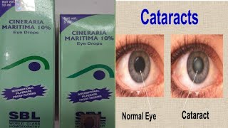 CINERIA MARITIMA  सिनेरिया मैरिटीमा हिंदी में पूरी जानकारी  CINERARIA MARITIMA EYE DROPS [upl. by Adiarf444]