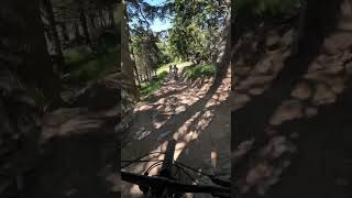 Mutzkopf in Nauders  Ein Enduro Paradies🤩🤘 Da musst du hin🤙 enduromtb mtb mountainbike mtblife [upl. by Summers]