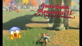 BotW Guardian Compilation [upl. by Plank]