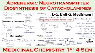 Adrenergic neurotransmitter  Biosynthesis of catacholamines  L2 U2  medicinal chemistry 4th sem [upl. by Brynne188]