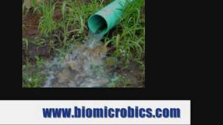 BioSTORM Stormwater Treatment System live action video [upl. by Hartzell]