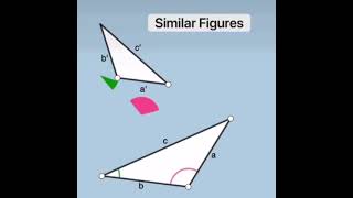 Similarity amp Congruence [upl. by Aleakcim298]