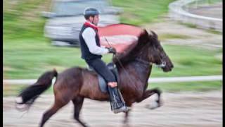 Landsmot 2008 For Icelandic HorsesPart One Spectacular Motion [upl. by Pagas663]