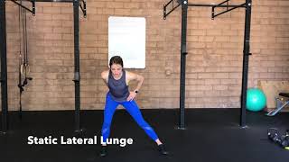 Static Lateral Lunge [upl. by Aitnuahs]