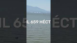 Chapala el Lago más Grande de México se está Secando jalisco agua sequia pueblo lago [upl. by Viola]