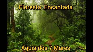 Floresta Encantada Águia Dos 7 Mares [upl. by Odnam]