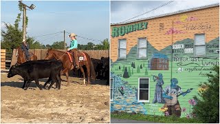 National Reined Cow Horse Competition  A quick stop  The Wild Roots Cafe [upl. by Novihc]