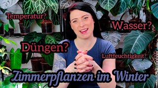 Die besten Pflanzen TIPPS für den Winter  düngen Wärme Licht uvm [upl. by Regdirb409]