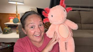 Huge Scentsy haul scentsy haul halloween [upl. by Jelle]