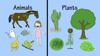 2c Classifying Living Things by Peter Weatherall [upl. by Tortosa]