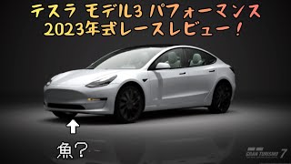 レースレビュー！テスラ モデル3 パフォーマンス 2023年式EVファミリーカーの最高峰？！ [upl. by Ennovahc790]