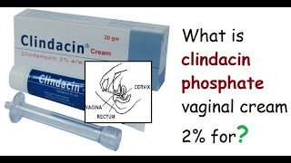 What is CLEOCIN VAGINAL CREAM 2 for [upl. by Chitkara]