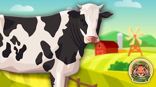 Cows Learn All About Cows  Farm Animal Songs For Kids  KLT WILD [upl. by Rehpotsirhcnhoj]