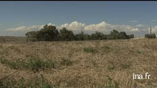 Australie  élevage de moutons [upl. by Youngran]