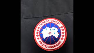 Canada Goose PBI Chilliwack Bomber white down jacket [upl. by Rennug977]