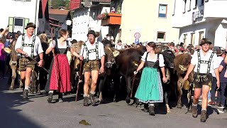 Viehscheid in Wertach Almabtrieb am 18092018 [upl. by Anavi]