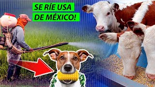 EEUU RIDICULIZA RAZONES DE MÉXICO CONTRA GLIFOSATO INVADE SOBERANÍA [upl. by Cavanagh]