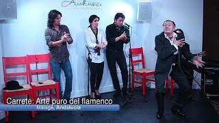 Carrete Arte puro del flamenco [upl. by Morrie535]