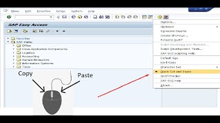 SAP quick text copy and paste function [upl. by Yllatan]