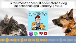 Is this mass cancer Bladder stones dog incontinence and Benadryl  003 [upl. by Minier]