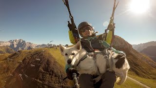 Paragliding se psem  Marvel na cestách [upl. by Ulrica]